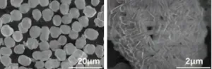 Ni-rich Cathode Materials for Lithium Ion and Sodium Ion Batteries — view 16