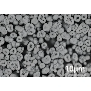 Ni-rich Cathode Materials for Lithium Ion and Sodium Ion Batteries